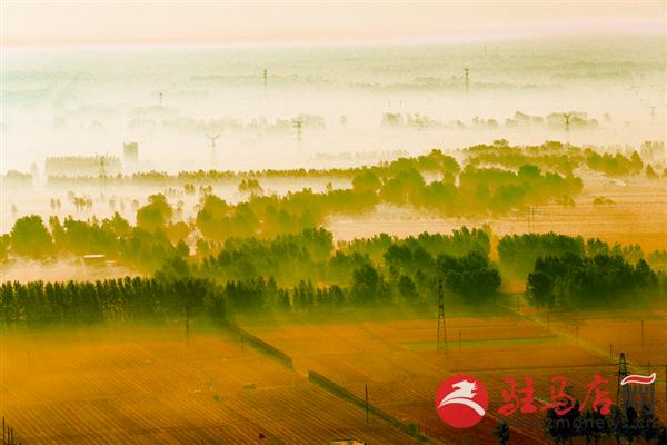 yuanzh170113.jpg