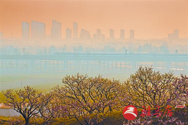 yuanzh170114.jpg
