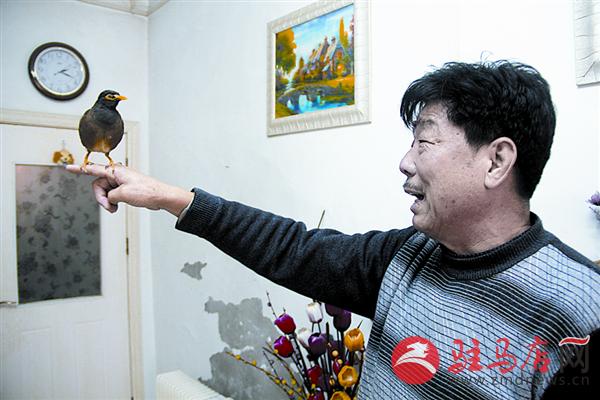 wangk170127.jpg