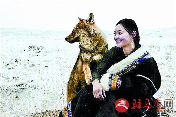 wangk1706111.jpg