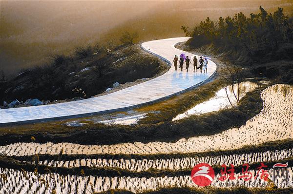 wangy1712881.jpg