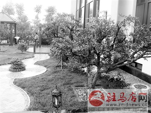 kanggf1405238.jpg