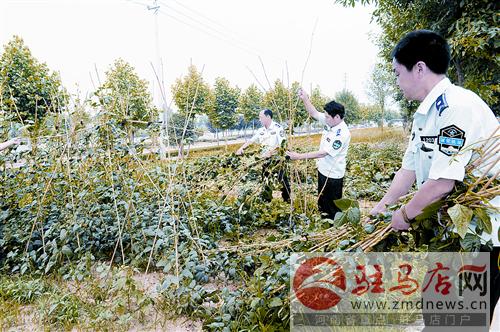 luf1406114.jpg