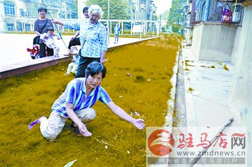 yuanzh140621.jpg