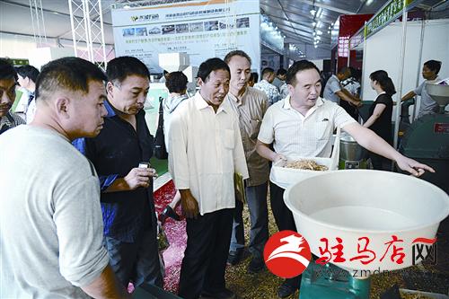 luf1409161.jpg
