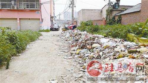 guols1407746.jpg