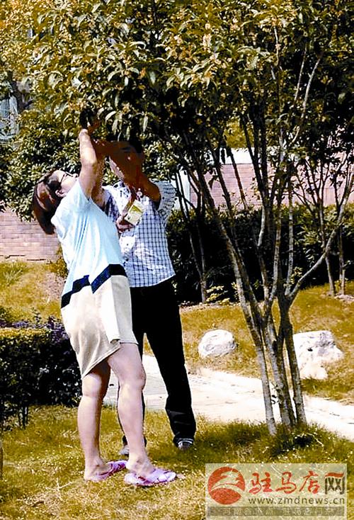 luf1409217.jpg