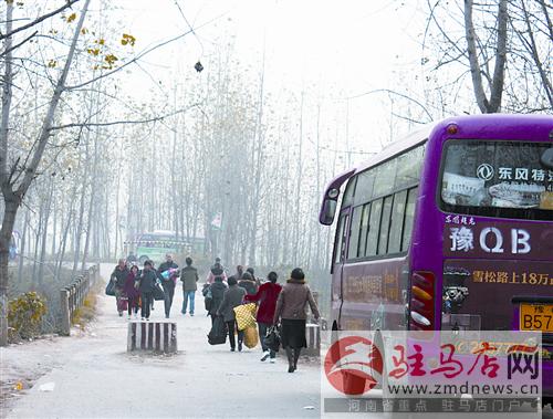 luf1411324.jpg
