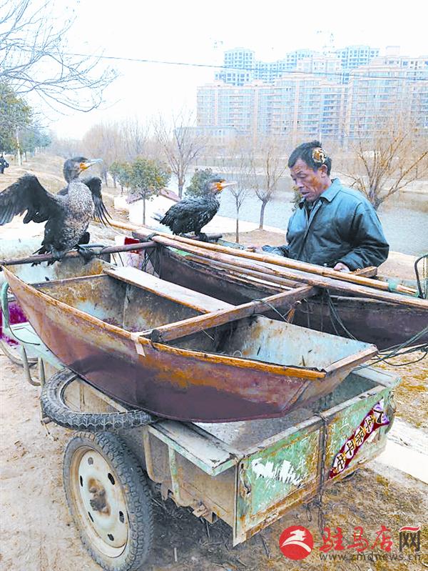 wangj1503112.jpg