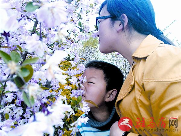 yuanzh150412.jpg