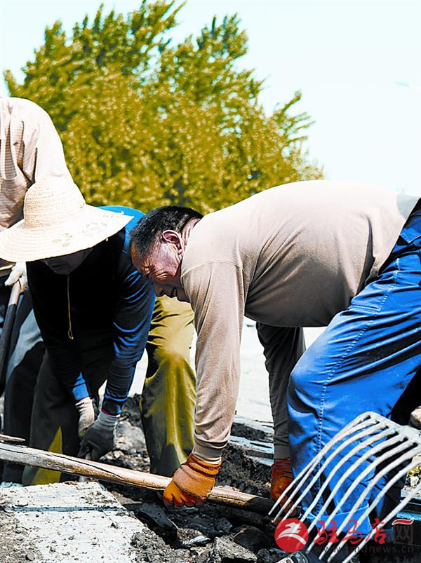 luf15054.jpg