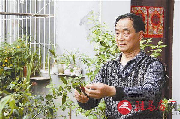 zhangz150643.jpg