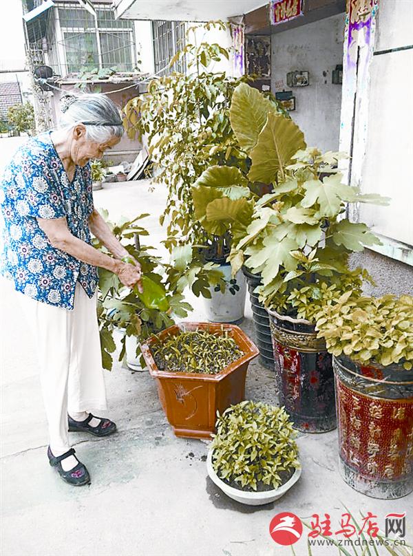 luf1506239.jpg