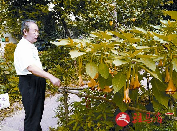 luf1507166.jpg