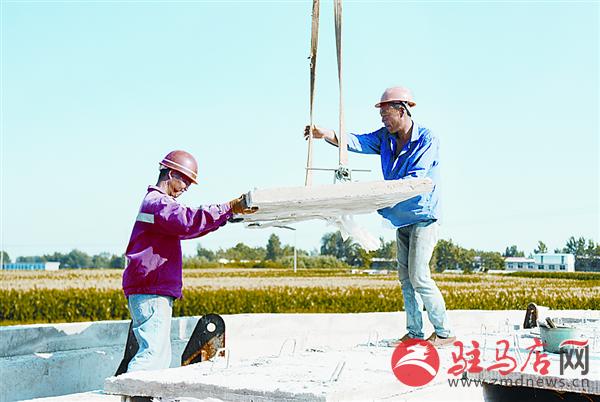 luf1507283.jpg