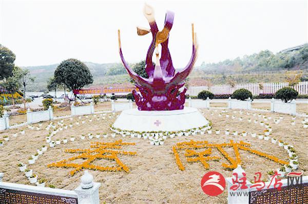 yangf150749.jpg