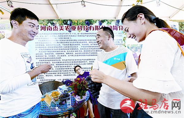 luf1509138.jpg