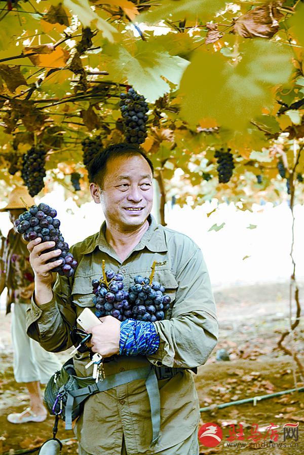 xiaopf15098.jpg