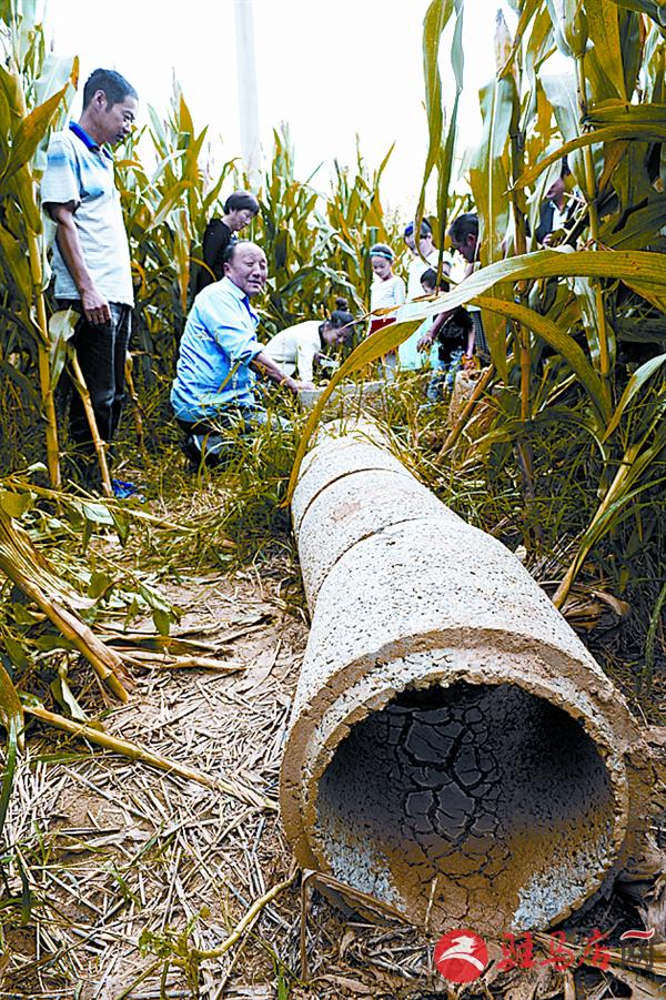 luf1509202.jpg