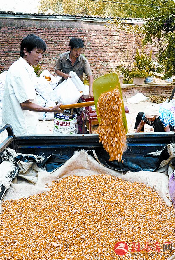 luf151027.jpg