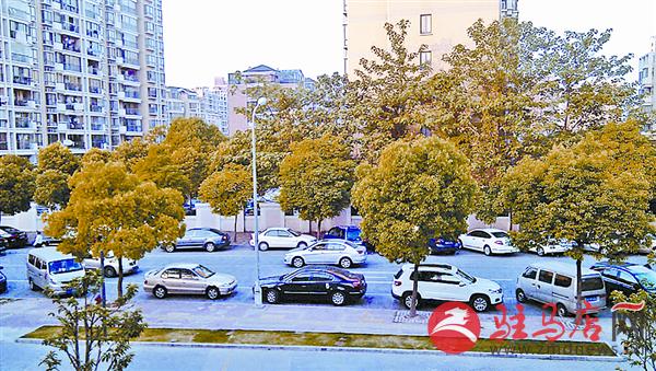 wangk151127.jpg