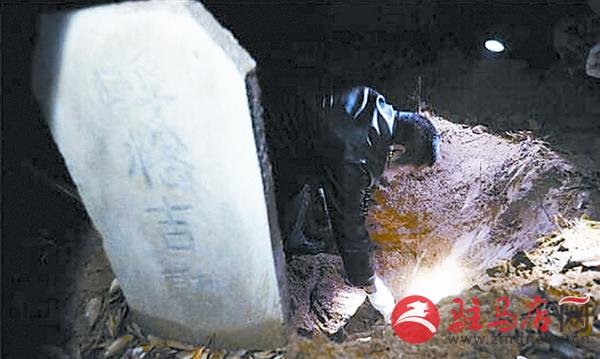 yangf151115.jpg