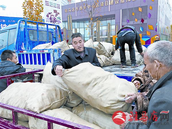 yinyy151120.jpg