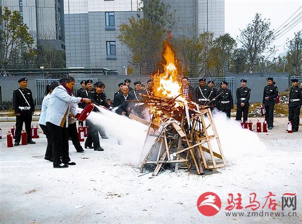 luf1511194.jpg