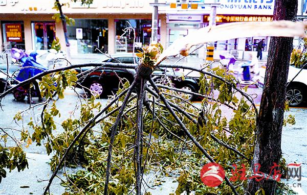 319958_ е۶0311.jpg