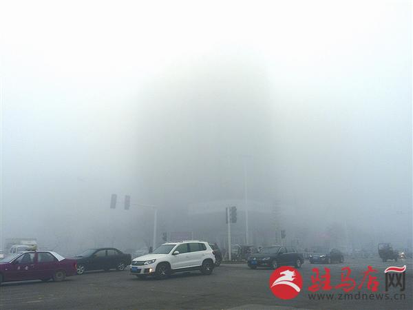 luf1511290.jpg