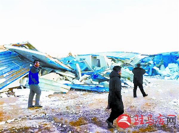 zhangxj1512201.jpg