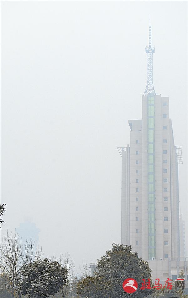 zhaol160119.jpg