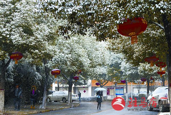 zhaol160118.jpg