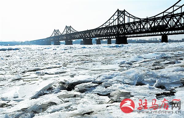 yangf160158.jpg