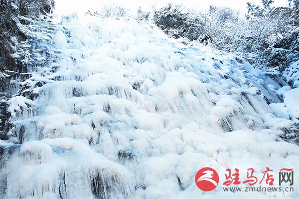 zhangxj160165.jpg