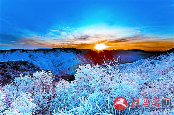 zhangxj160170.jpg