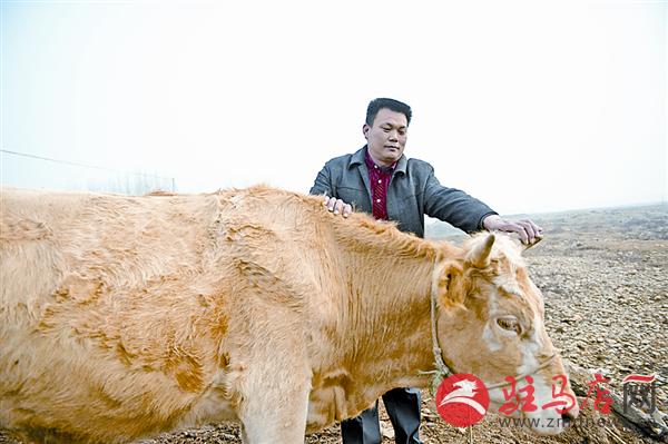 wangj160277.jpg