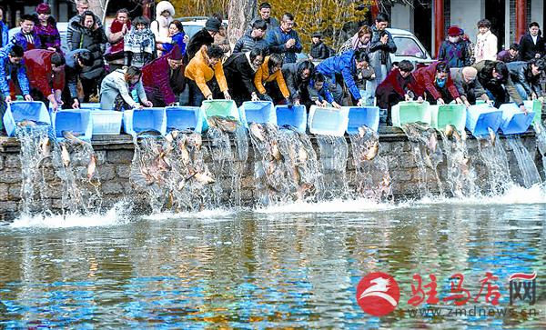 yangf160231.jpg