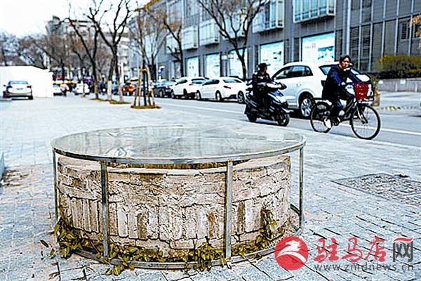 yangf160343.jpg