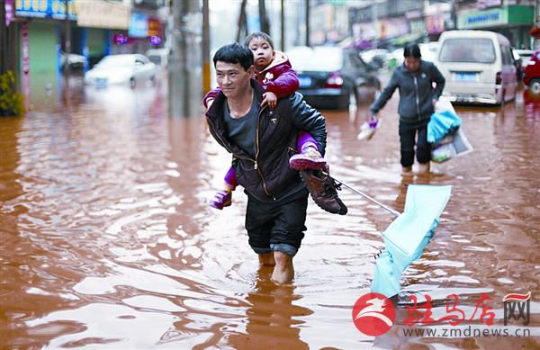 yangf160371.jpg