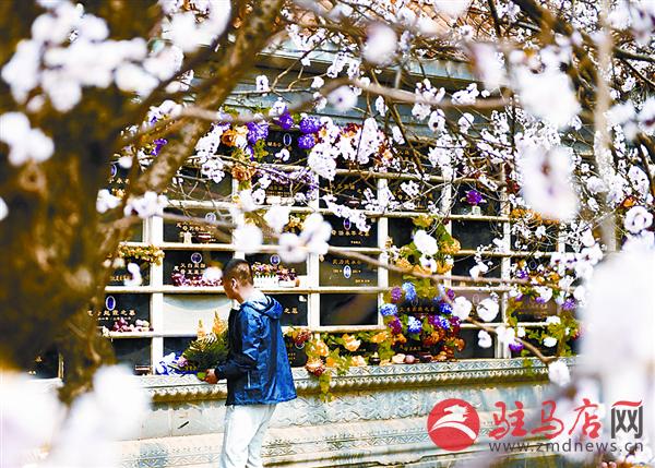yangf16041.jpg