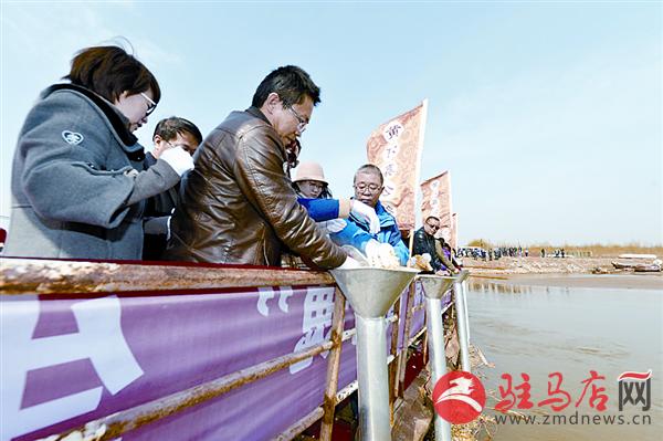 yangf16043.jpg
