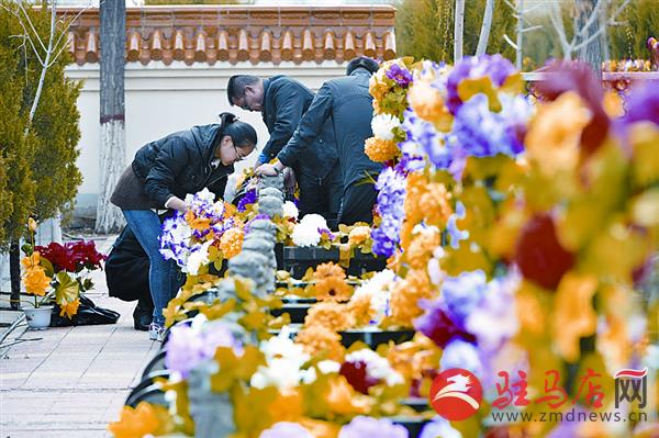 yangf16042.jpg