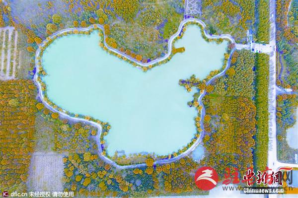 zhangxj16042.jpg