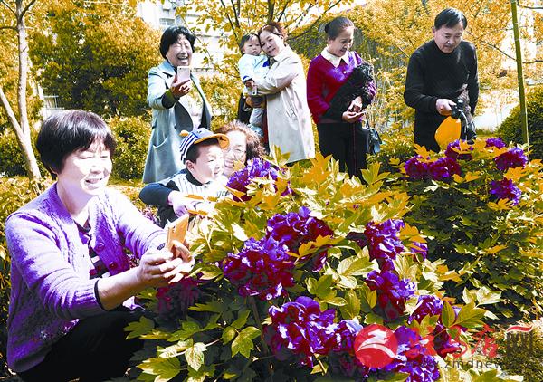 luf160468.jpg