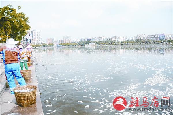 zhangxj16057.jpg
