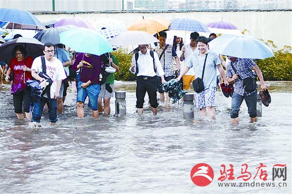 yangf1605151.jpg