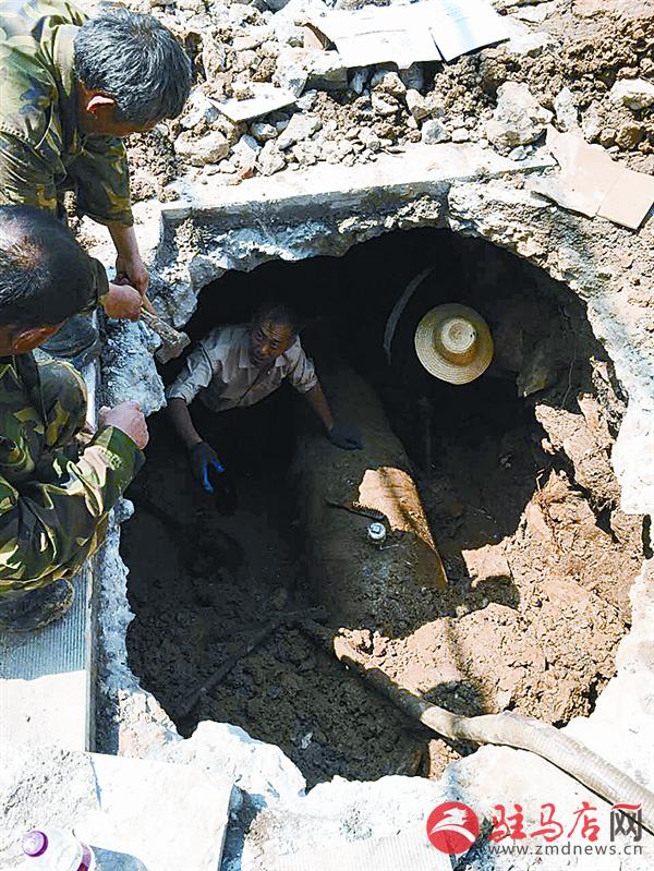 luf1606379.jpg