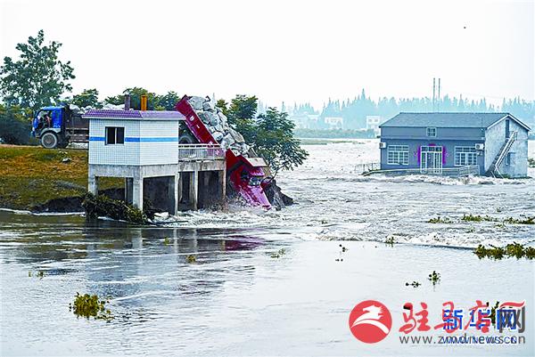 yangf160734.jpg