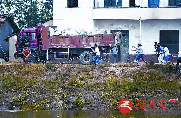 yangf160733.jpg